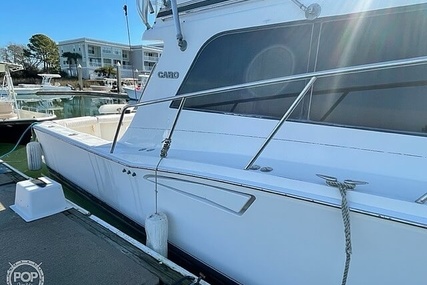 Cabo 35 Flybridge SF