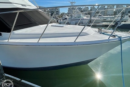 Cabo 35 Flybridge SF