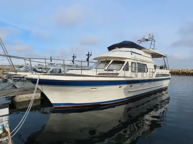 Trader 54 Sunliner