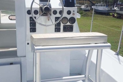 Custom Boats Spronk Power Catamaran