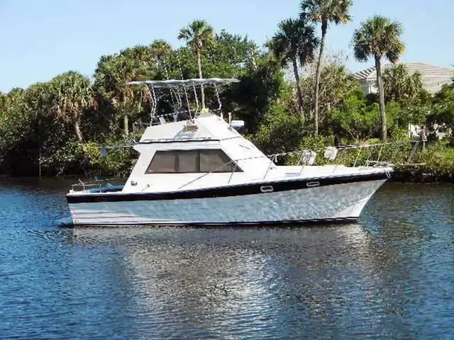 Pequod Flybridge Sedan