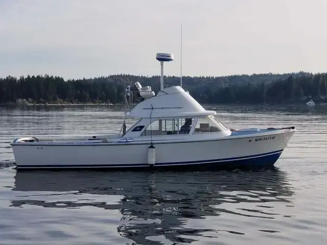 Bertram Flybridge