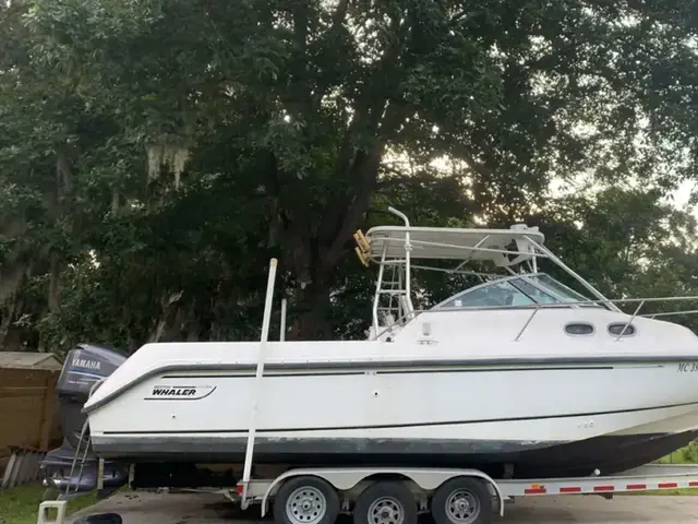 Boston Whaler conquest