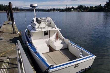 Bertram Flybridge