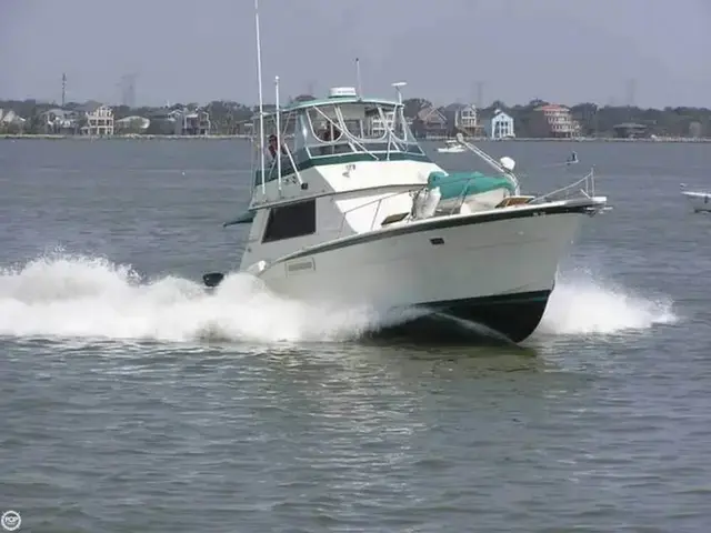 Hatteras 42