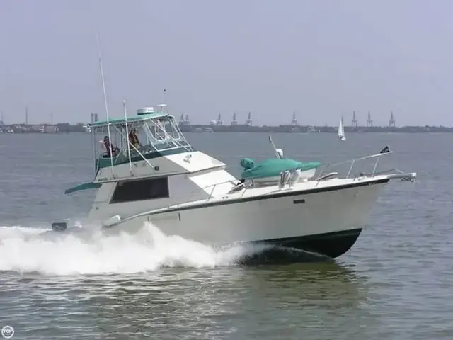 Hatteras 42