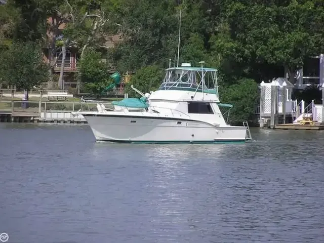 Hatteras 42