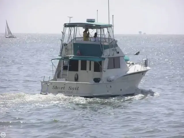 Hatteras 42