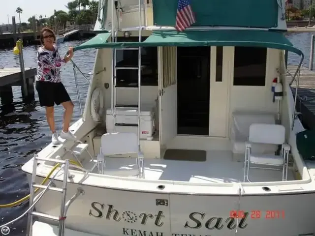 Hatteras 42