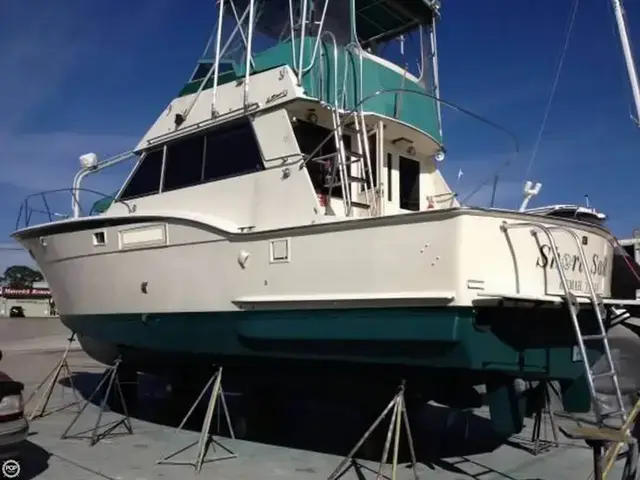 Hatteras 42