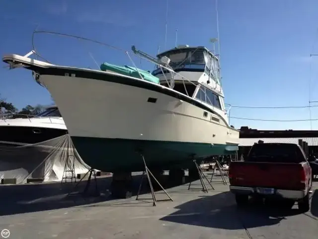 Hatteras 42