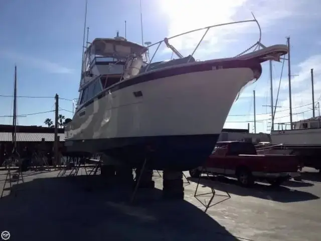 Hatteras 42