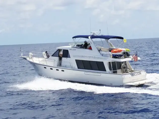 Bayliner 4788 Pilothouse Motoryacht