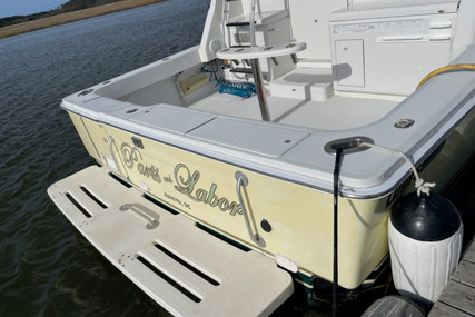 Luhrs 40 Convertible