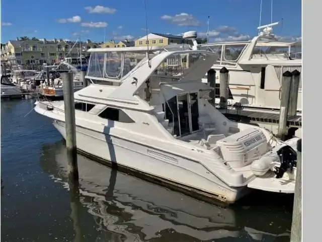 Sea Ray 440 Express Bridge