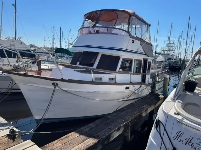 Tiger Marine Sundeck Trawler