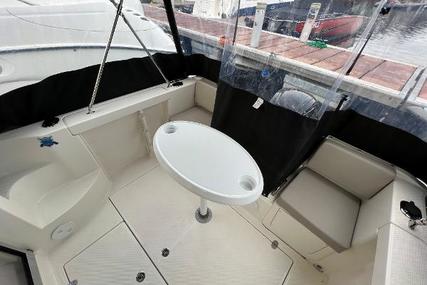 Quicksilver 555 Pilothouse