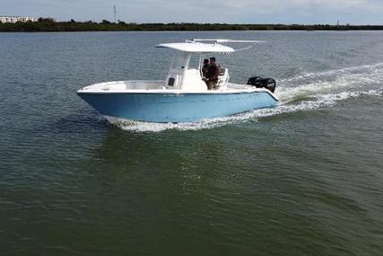 Cobia 262