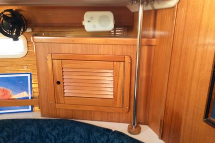 Catalina 42 MKII 3 Cabin Pullman