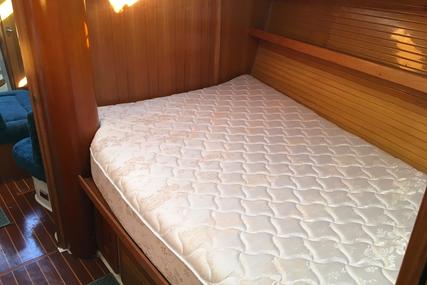 Catalina 42 MKII 3 Cabin Pullman