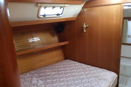 Catalina 42 MKII 3 Cabin Pullman