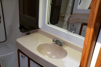 Catalina 42 MKII 3 Cabin Pullman