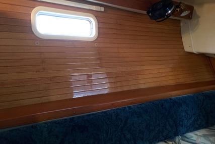 Catalina 42 MKII 3 Cabin Pullman