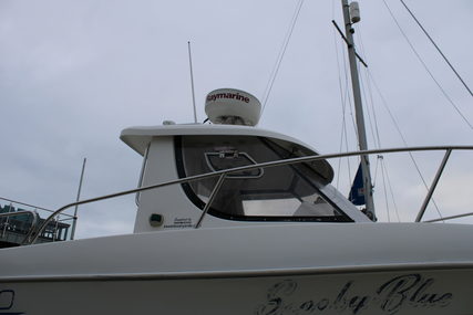 Arvor 20