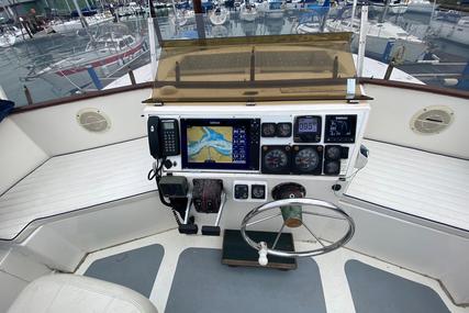 Colvic Trawler 38