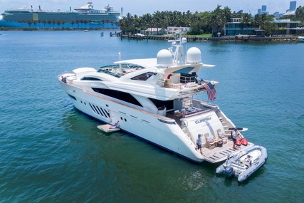 Dominator 29M