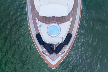 Dominator 29M