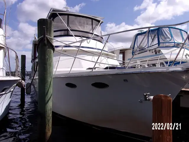 Trader Tradewinds Motor Yacht