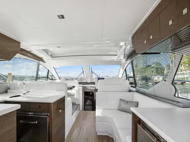 Cruisers 50 Cantius