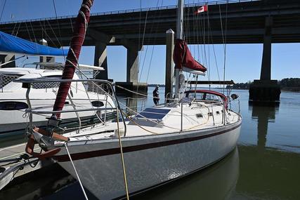 Canadian Sailcraft Cs 36