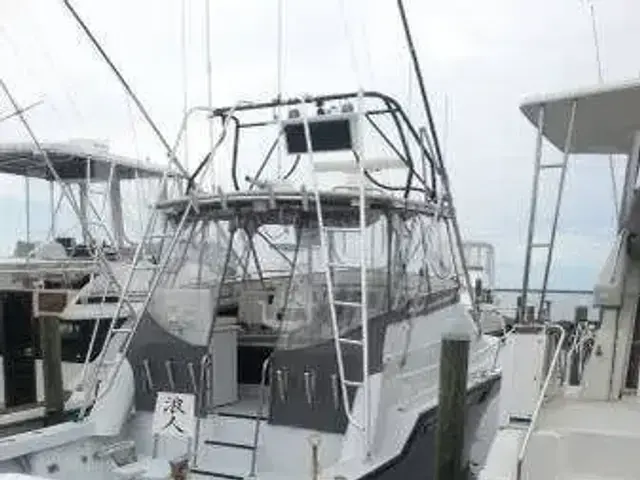 Luhrs 34 Tournament Sports Fisher