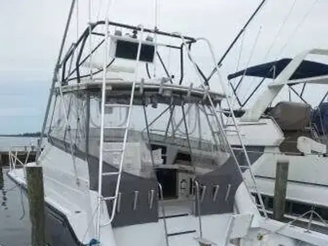 Luhrs 34 Tournament Sports Fisher