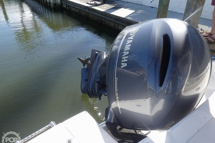 Robalo R202 Explorer