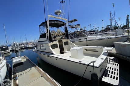 Bertram Flybridge Cruiser 28