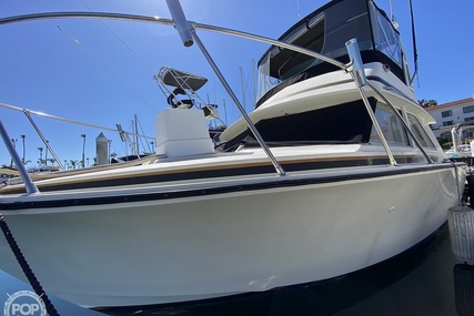 Bertram Flybridge Cruiser 28