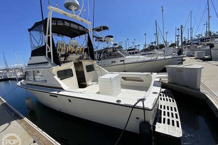 Bertram Flybridge Cruiser 28