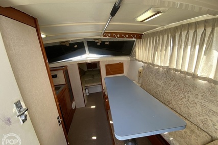 Bertram Flybridge Cruiser 28