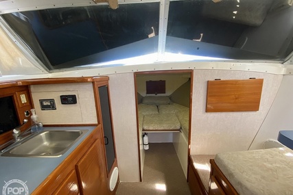 Bertram Flybridge Cruiser 28