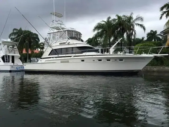 Bertram Sportfish