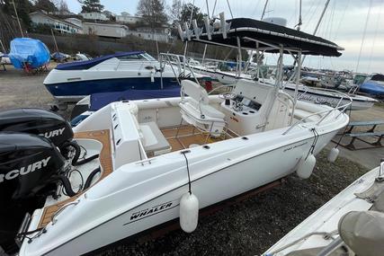 Boston Whaler 240 Outrage