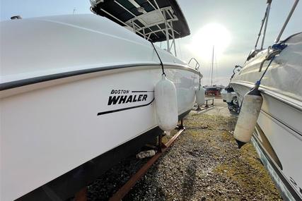 Boston Whaler 240 Outrage