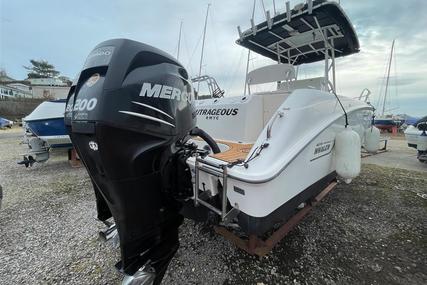 Boston Whaler 240 Outrage