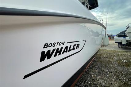 Boston Whaler 240 Outrage