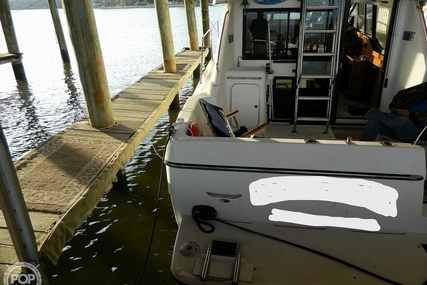 Bayliner 3388 Command Flybridge