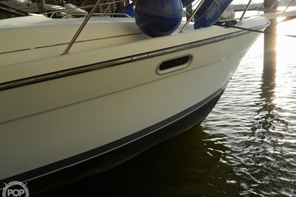 Bayliner 3388 Command Flybridge