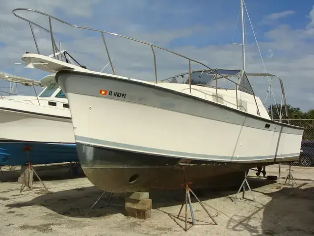 Luhrs Allura 30